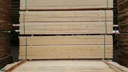 博通木材(图),建筑木板批发商,营口建筑木板