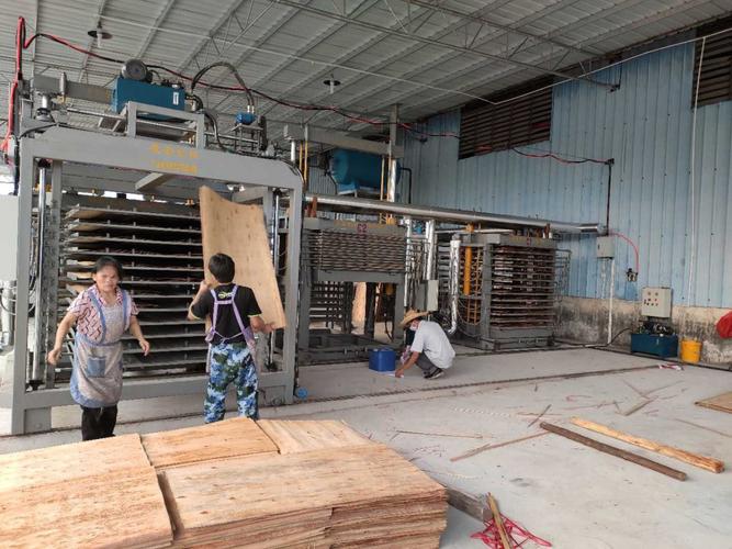 单板烘干设备 杨木单板干燥机 木材单板干燥设备