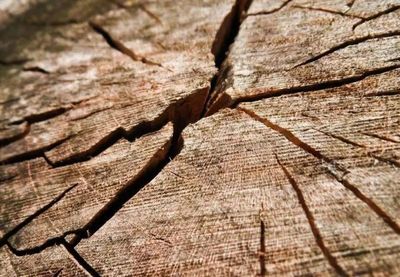 木材干燥技术快速进化,这几种方法必须知道!